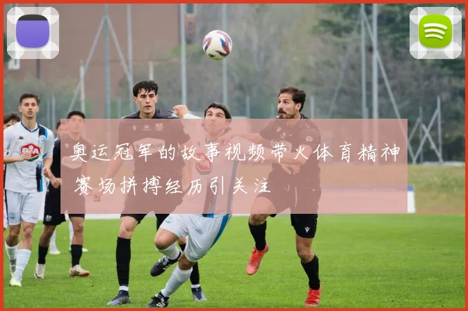 奥运冠军的故事视频带火体育精神 赛场拼搏经历引关注