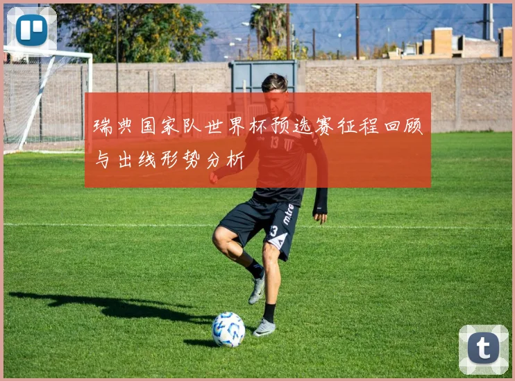 瑞典国家队世界杯预选赛征程回顾与出线形势分析