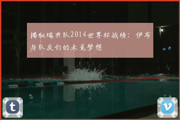 揭秘瑞典队2014世界杯战绩:伊布与队友们的未竟梦想