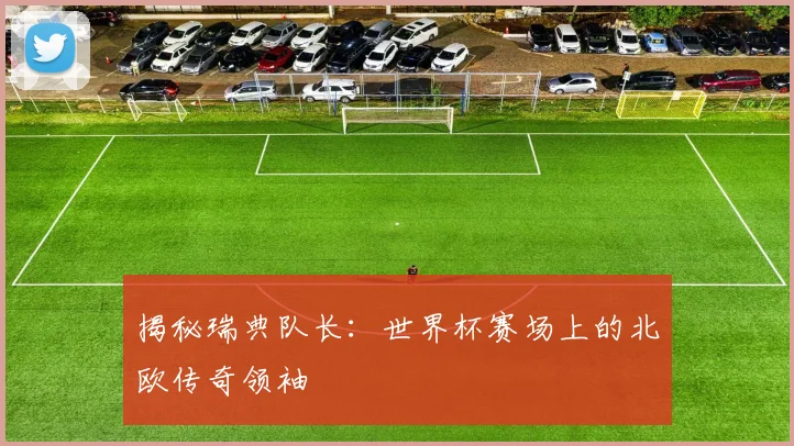 揭秘瑞典队长:世界杯赛场上的北欧传奇领袖